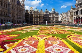 Asia Cheap Business Flight - IFlyFirstClass