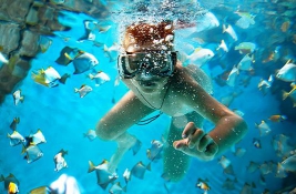 business fares cheap discount best - IFlyFirstClass