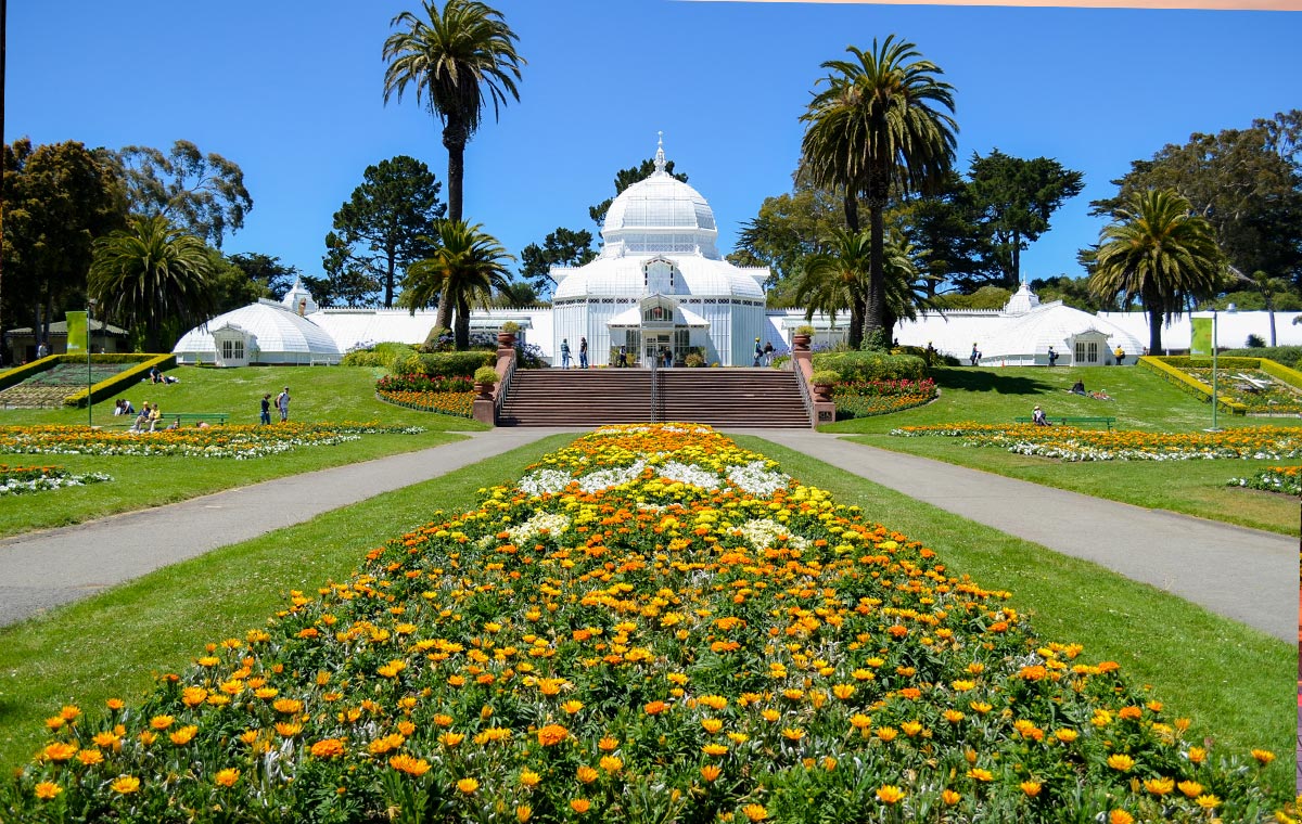 Luxuriate in comfy business class seats to San Francisco attractions like Golden Gate Park. - IFlyFirstClass