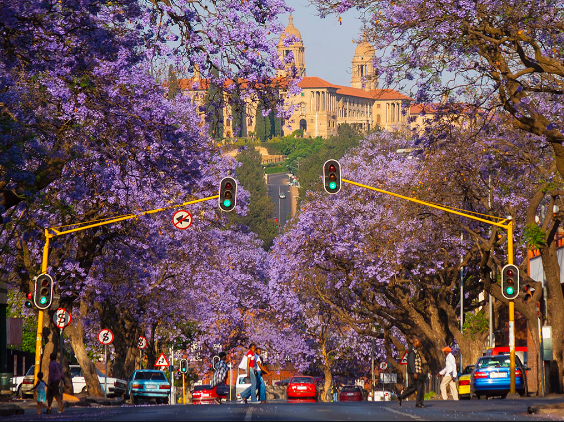 Find last minute deals on first class flights to the Pretoria area to tour the nation’s capital. - IFlyFirstClass