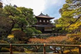 Travelers looking for Kyoto discounted business class tickets and last minute deals find several options using Kansai International Airport. - IFlyFirstClass